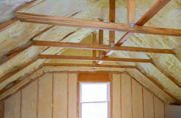 Best Residential Insulation in Ingalls Park, IL